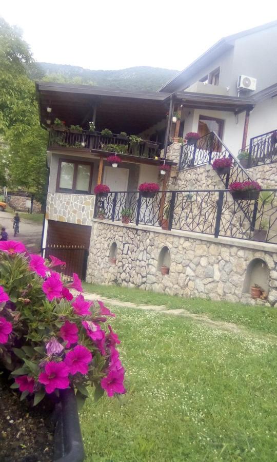 Guest House Stevovski Elshani Exterior foto